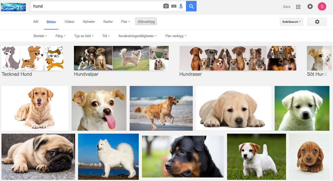 hund-google-for-anvandas