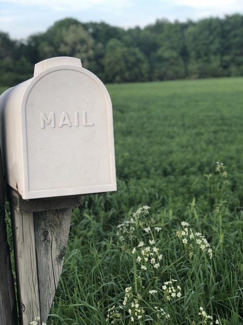 post box on grass