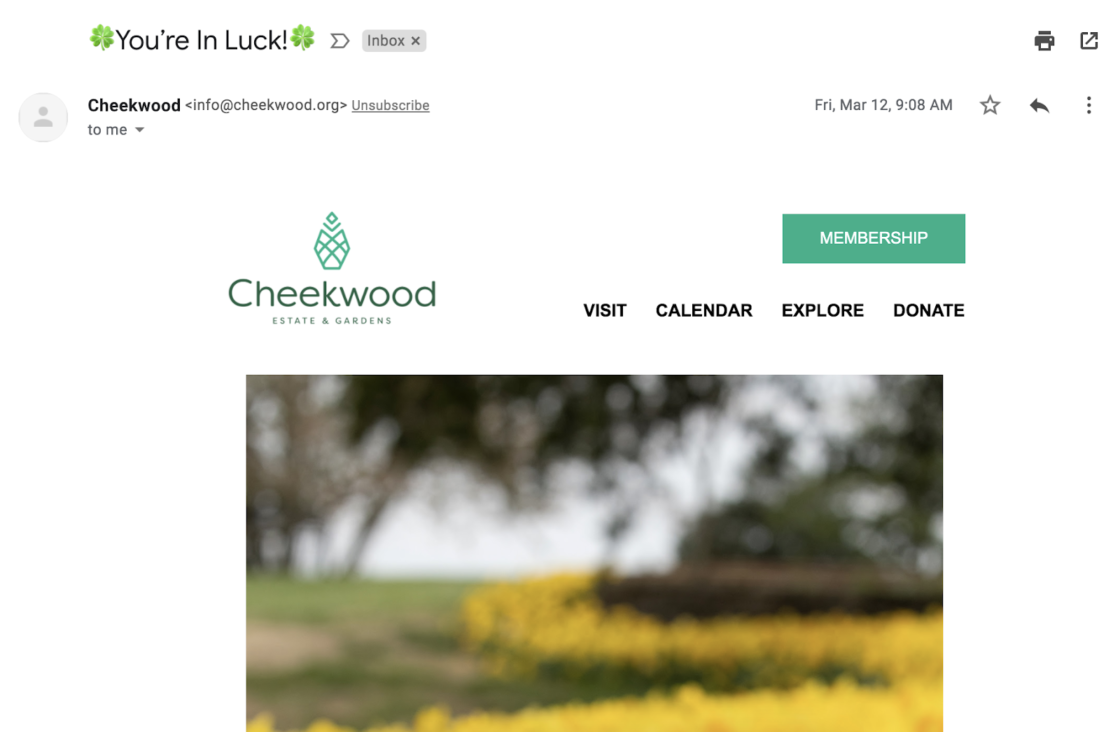 spring newsletter cheekwood